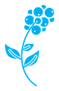 Coffee plant icon