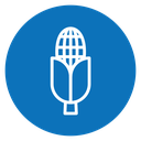 Corn Color Filled icon
