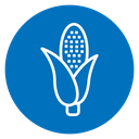 Corn 2 icon