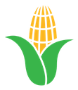Corn icon