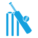 Cricket icon
