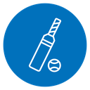 Cricket 2 icon