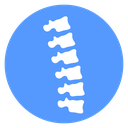 Curved Spine Column Color Filled icon