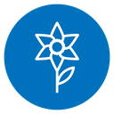 Daffodil icon