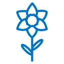 Daffodil Flower icon