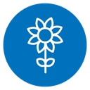 Daffodil Flower icon