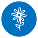 Daisy Flower icon