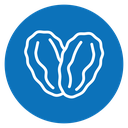 Date fruit icon
