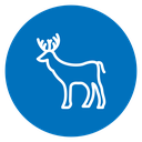 Deer icon