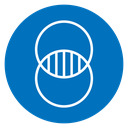 Diagram venn 2 icon