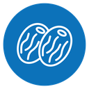 Dry fruit icon
