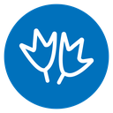 Duck paw icon