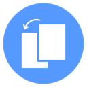 Duplicate icon