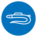 Eel icon