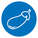 Eggplant icon