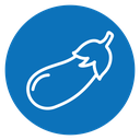 Eggplant icon