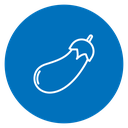 Eggplant icon
