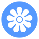 Eight Petal Flower icon