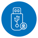 Encrypted pendrive icon