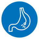 Endoscopy icon