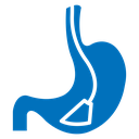 Endoscopy icon