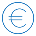 Euro icon