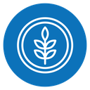 Fibre icon