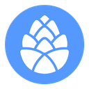 Fir cone Color Filled icon