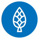 Fir cone icon