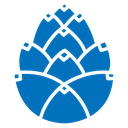 Fir cone icon
