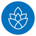 Fir cone icon