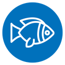 Fish icon