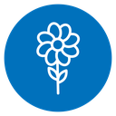 Flower 2 icon