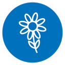 Flower 3 icon