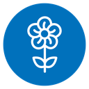 Flower Bloom icon