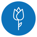 Flower tulip icon