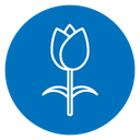 Flower tulip 2 icon