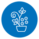 Flowering Houseplant Color Filled icon