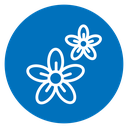 Flowers icon