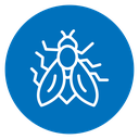 Fly insect 2 icon