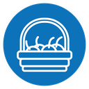 Fruit basket icon