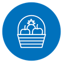 Fruit Basket icon