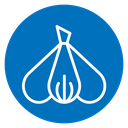 Garlic icon