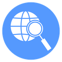 Global Web Search Color Filled icon