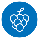 Grape icon