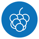 Grape icon