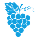 Grape 2 icon