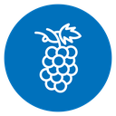 Grape 2 icon