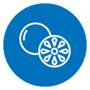 Grapefruit icon