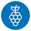 Grapes icon